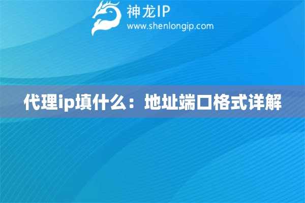 代理ip填什么：地址端口格式詳解
