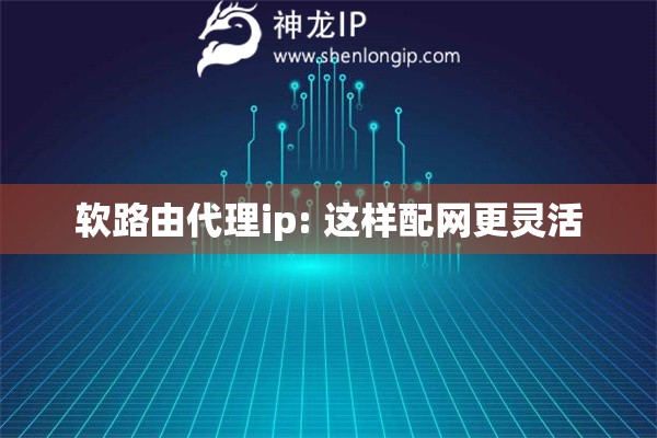 軟路由代理ip: 這樣配網(wǎng)更靈活