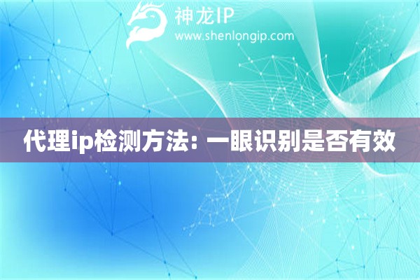 代理ip檢測方法: 一眼識別是否有效
