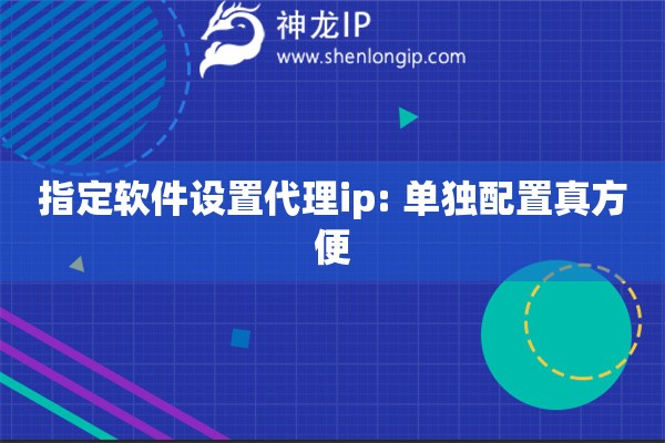 指定軟件設置代理ip: 單獨配置真方便