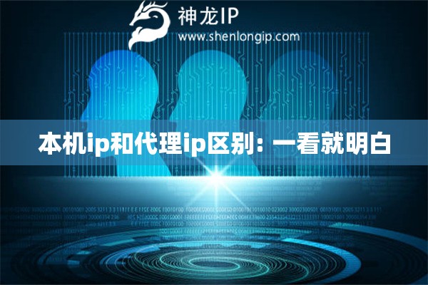 本機(jī)ip和代理ip區(qū)別: 一看就明白