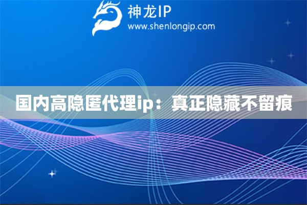 國內(nèi)高隱匿代理ip：真正隱藏不留痕