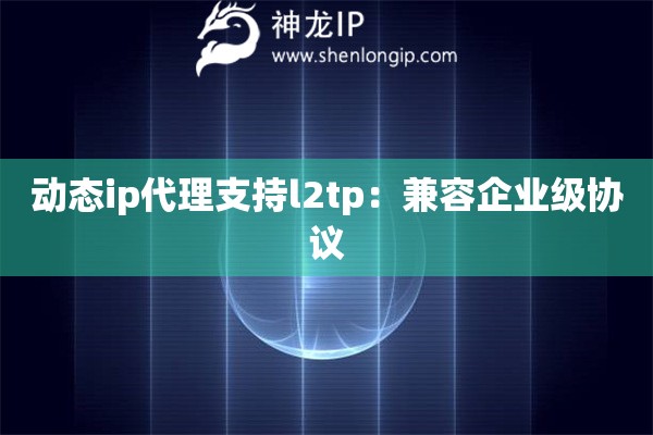 動(dòng)態(tài)ip代理支持l2tp：兼容企業(yè)級(jí)協(xié)議