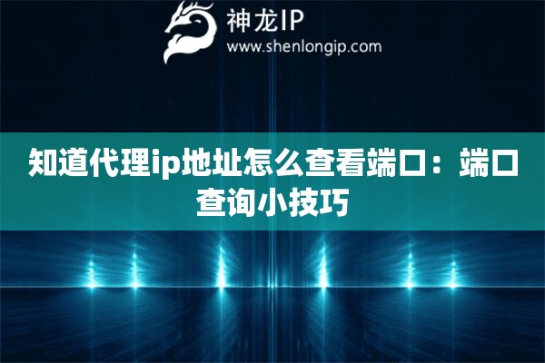 知道代理ip地址怎么查看端口：端口查詢小技巧