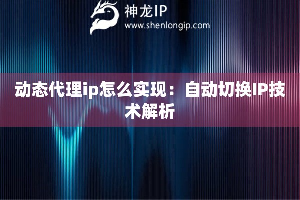 動態(tài)代理ip怎么實現(xiàn)：自動切換IP技術解析