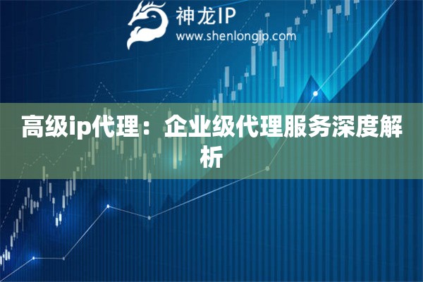 高級ip代理：企業(yè)級代理服務深度解析
