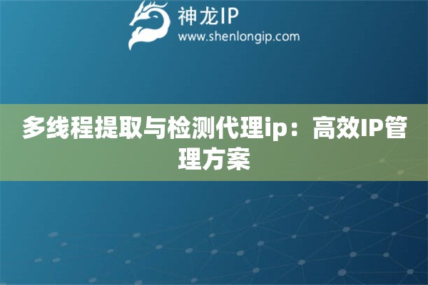多線程提取與檢測代理ip：高效IP管理方案