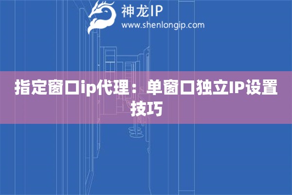 指定窗口ip代理：單窗口獨立IP設置技巧