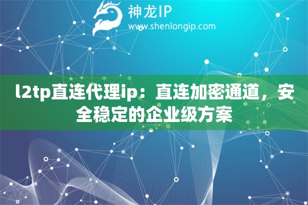 l2tp直連代理ip：直連加密通道，安全穩(wěn)定的企業(yè)級方案