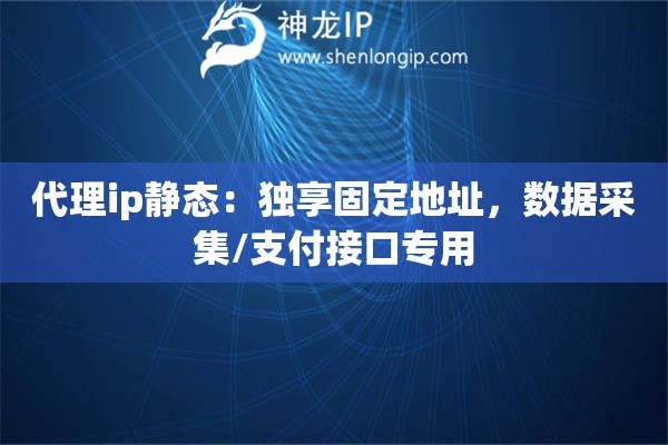 代理ip靜態(tài)：獨享固定地址，數(shù)據采集/支付接口專用