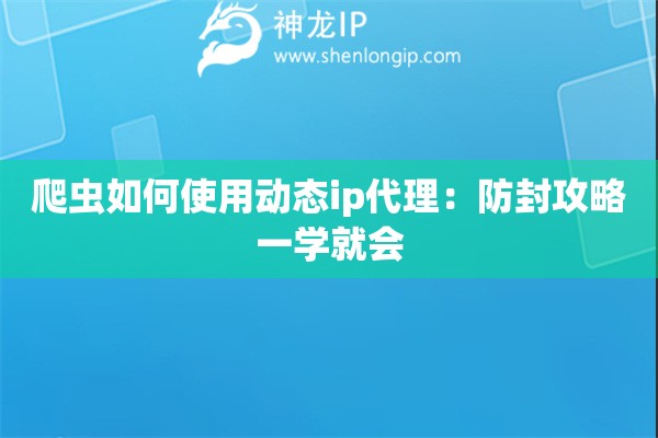 爬蟲如何使用動(dòng)態(tài)ip代理：防封攻略一學(xué)就會(huì)