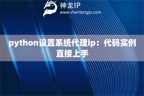 python設(shè)置系統(tǒng)代理ip：代碼實(shí)例直接上手