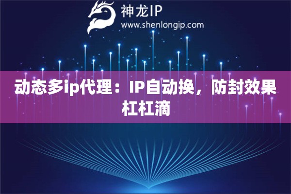 動態(tài)多ip代理：IP自動換，防封效果杠杠滴