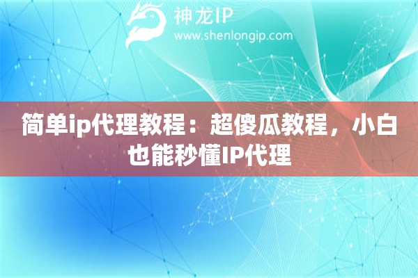 簡單ip代理教程：超傻瓜教程，小白也能秒懂IP代理