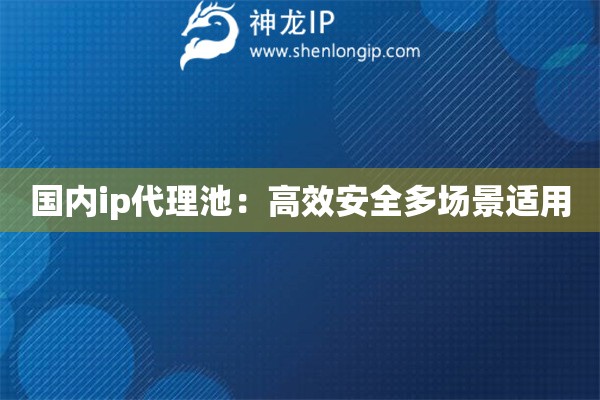 國內(nèi)ip代理池：高效安全多場景適用
