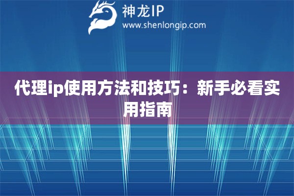 代理ip使用方法和技巧：新手必看實用指南