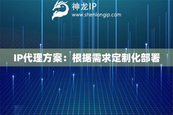 IP代理方案：根據(jù)需求定制化部署