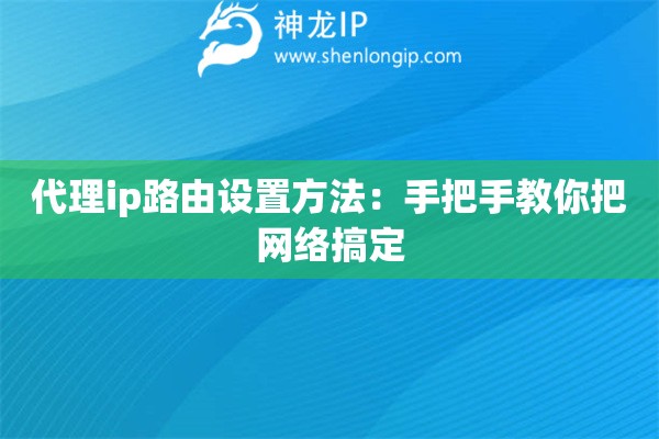 代理ip路由設(shè)置方法：手把手教你把網(wǎng)絡(luò)搞定