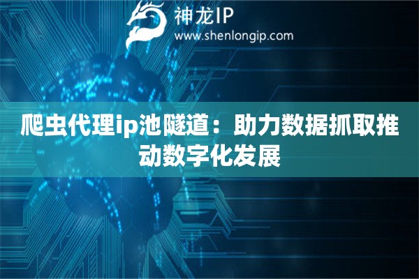 爬蟲代理ip池隧道：助力數(shù)據(jù)抓取推動(dòng)數(shù)字化發(fā)展