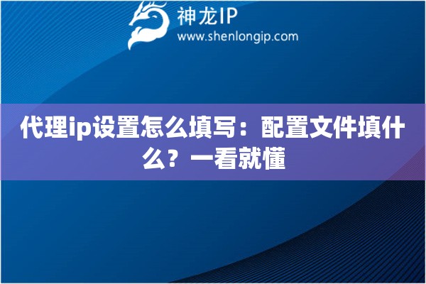 代理ip設(shè)置怎么填寫：配置文件填什么？一看就懂