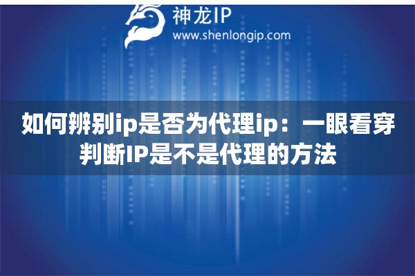 如何辨別ip是否為代理ip：一眼看穿判斷IP是不是代理的方法