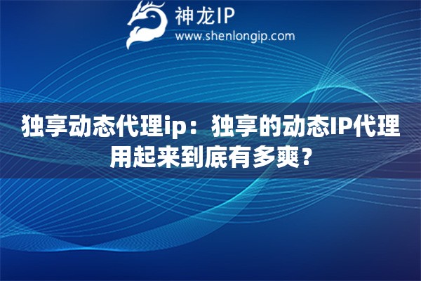 獨(dú)享動(dòng)態(tài)代理ip：獨(dú)享的動(dòng)態(tài)IP代理用起來到底有多爽？