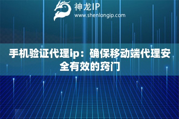 手機(jī)驗(yàn)證代理ip：確保移動(dòng)端代理安全有效的竅門