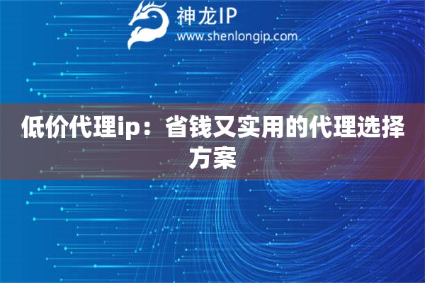 低價代理ip：省錢又實用的代理選擇方案