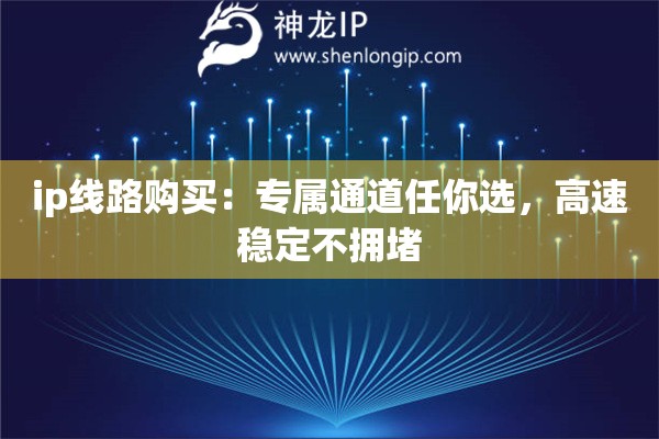 ip線路購買：專屬通道任你選，高速穩(wěn)定不擁堵