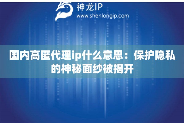 國(guó)內(nèi)高匿代理ip什么意思：保護(hù)隱私的神秘面紗被揭開(kāi)