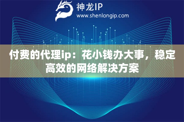 付費(fèi)的代理ip：花小錢(qián)辦大事，穩(wěn)定高效的網(wǎng)絡(luò)解決方案
