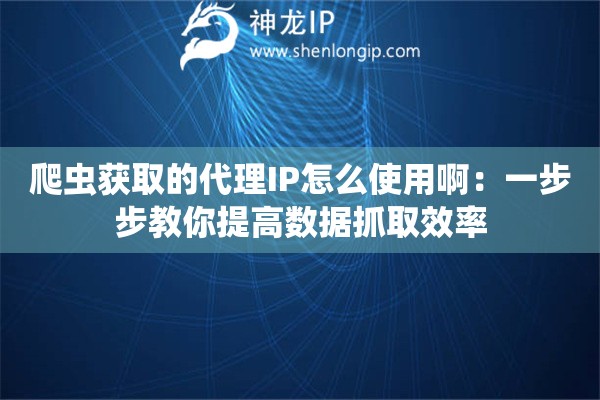 爬蟲(chóng)獲取的代理IP怎么使用?。阂徊讲浇棠闾岣邤?shù)據(jù)抓取效率