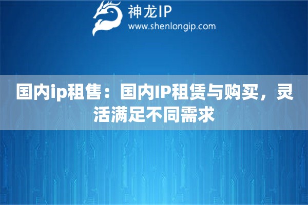 國(guó)內(nèi)ip租售：國(guó)內(nèi)IP租賃與購(gòu)買，靈活滿足不同需求