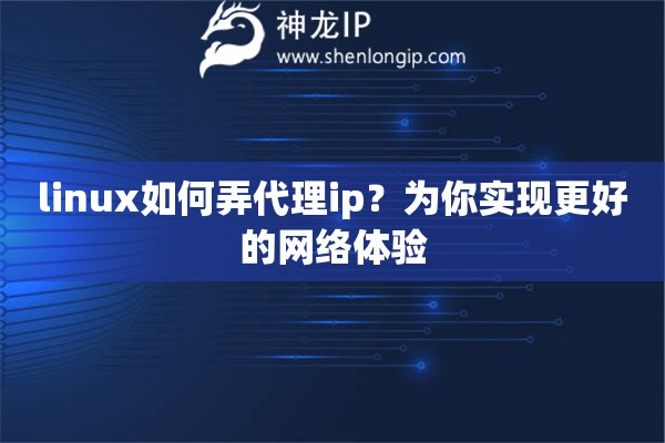 linux如何弄代理ip？為你實(shí)現(xiàn)更好的網(wǎng)絡(luò)體驗(yàn)