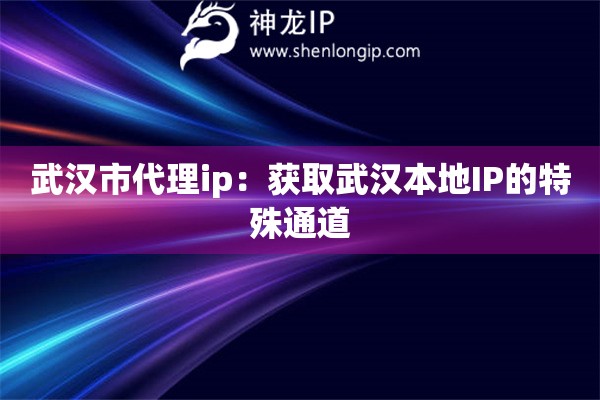 武漢市代理ip：獲取武漢本地IP的特殊通道