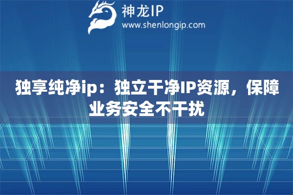 獨享純凈ip：獨立干凈IP資源，保障業(yè)務安全不干擾