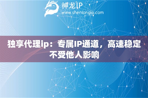 獨(dú)享代理ip：專屬IP通道，高速穩(wěn)定不受他人影響