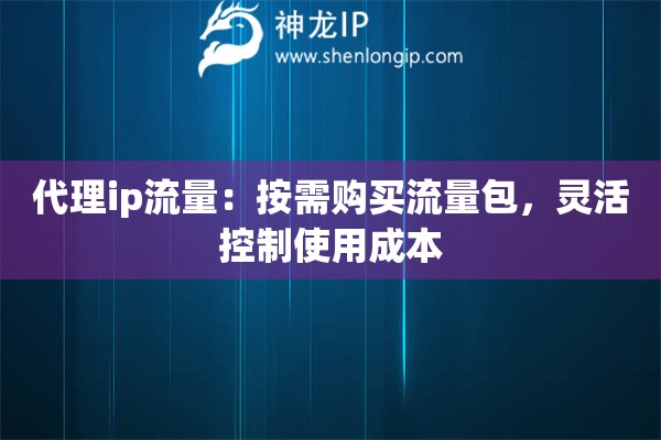 代理ip流量：按需購買流量包，靈活控制使用成本