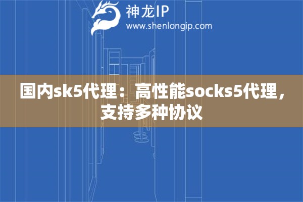 國內(nèi)sk5代理：高性能socks5代理，支持多種協(xié)議