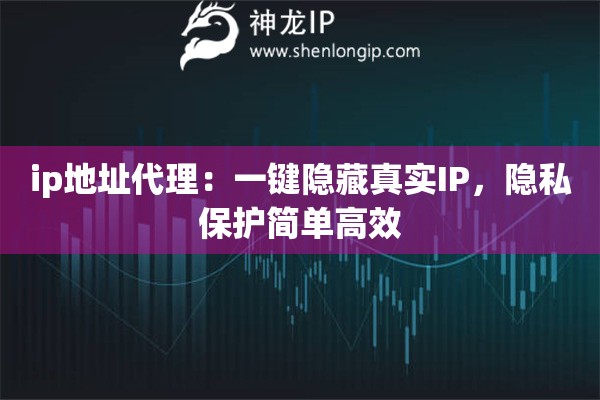 ip地址代理：一鍵隱藏真實IP，隱私保護(hù)簡單高效