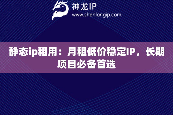 靜態(tài)ip租用：月租低價穩(wěn)定IP，長期項目必備首選