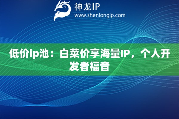 低價ip池：白菜價享海量IP，個人開發(fā)者福音