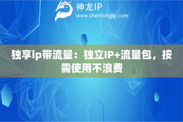 獨享ip帶流量：獨立IP+流量包，按需使用不浪費