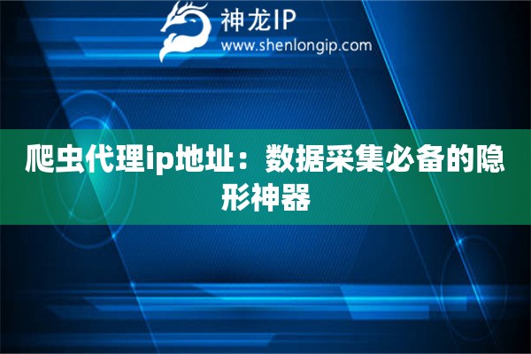 爬蟲代理ip地址：數(shù)據(jù)采集必備的隱形神器