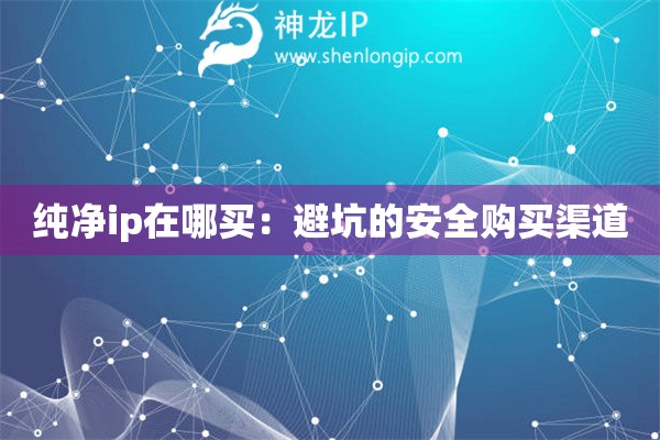 純凈ip在哪買：避坑的安全購買渠道