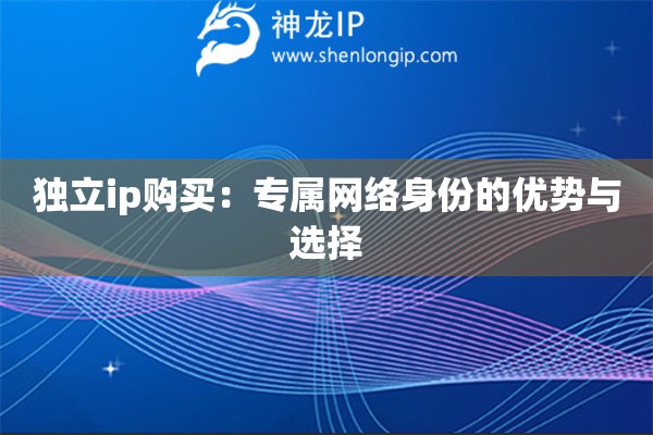 獨(dú)立ip購買：專屬網(wǎng)絡(luò)身份的優(yōu)勢(shì)與選擇
