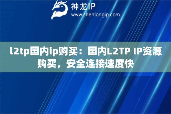 l2tp國(guó)內(nèi)ip購(gòu)買(mǎi)：國(guó)內(nèi)L2TP IP資源購(gòu)買(mǎi)，安全連接速度快