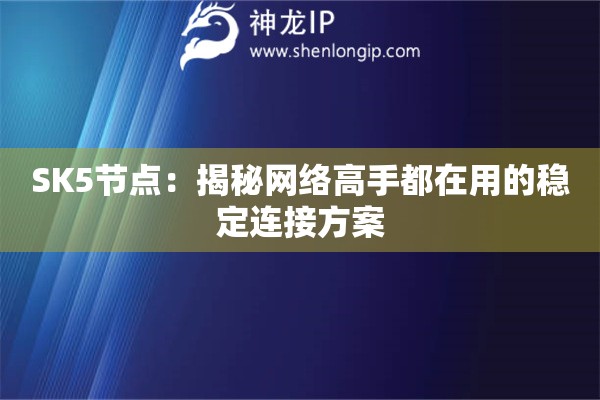 SK5節(jié)點：揭秘網絡高手都在用的穩(wěn)定連接方案