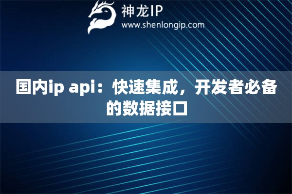 國內(nèi)ip api：快速集成，開發(fā)者必備的數(shù)據(jù)接口