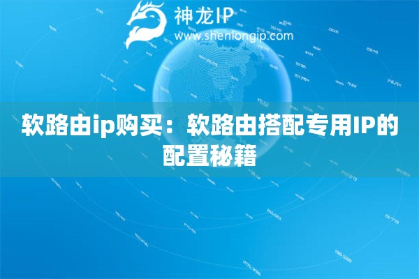 軟路由ip購買：軟路由搭配專用IP的配置秘籍